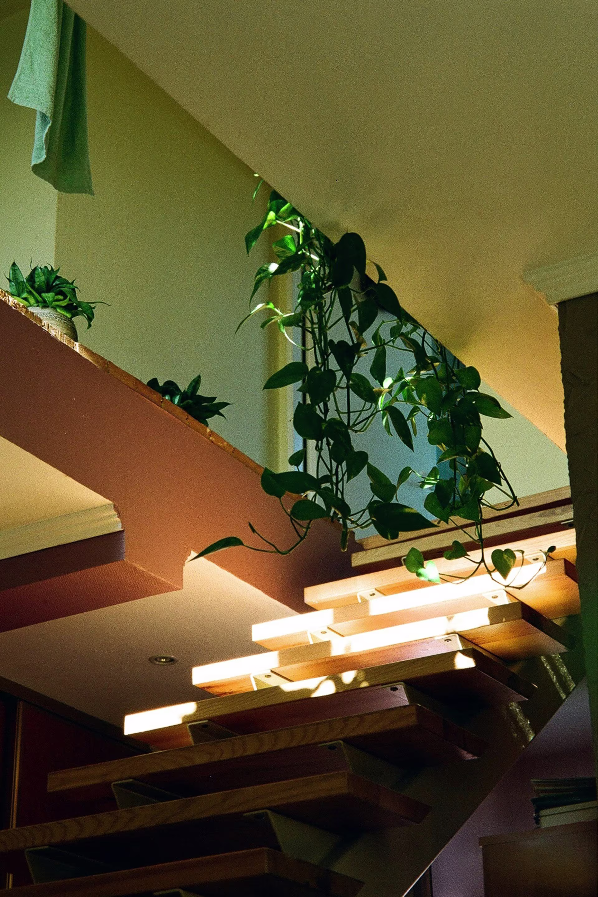 Brand & Content Strategy